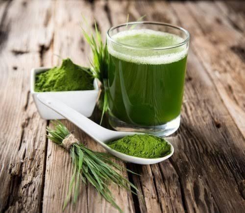 SPIRULINA EM PO GRANEL 100g
