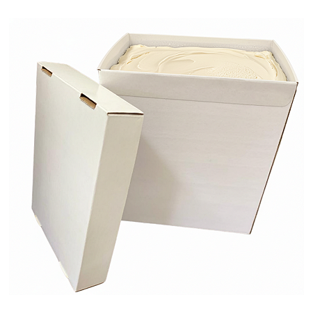 Caixa Térmica de Papelão 10L Branca (22x24x17,9cm) - Pacote com 10 unidades