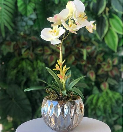 Arranjo de Orquídea Branca Toque Real em Vaso Ambar - VerdeArt