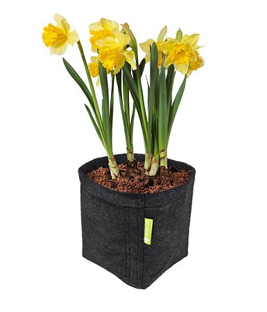 Garden HighPro ProPot 11L