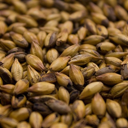 MALTE SPECIAL W - KG