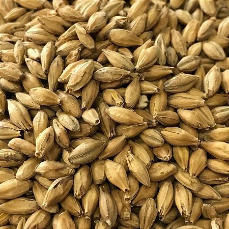 MALTE PALE ALE AGRÁRIA