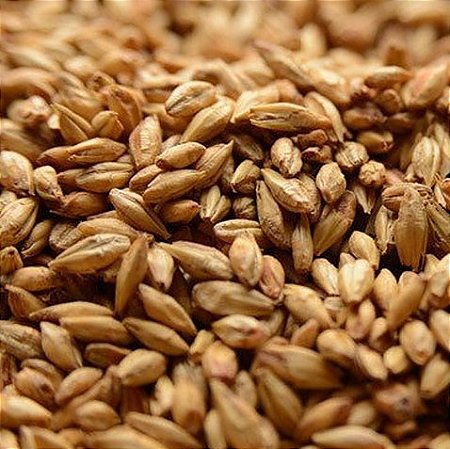 MALTE VIENNA AGRÁRIA