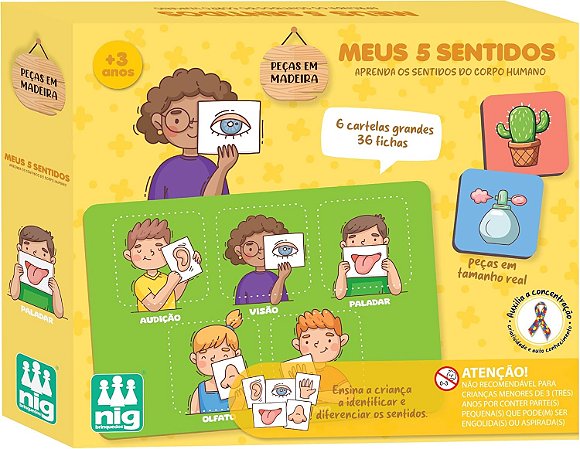 MEUS 5 SENTIDOS