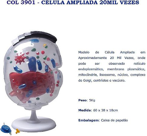 COL 3901 - CÉLULA AMPLIADAD 20MIL VEZES