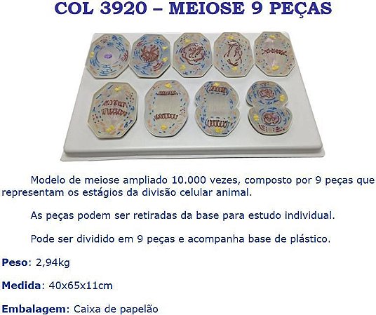 COL 3920 - MEIOSE 9 PEÇAS
