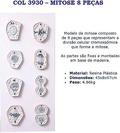 COL 3930 - MITOSE 8 PEÇAS