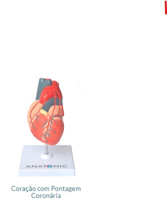 CORAÇÃO COM PONTAGEM CORONÁRIA