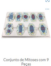 CONJENTO DE MITOSE COM 09 PAARTES
