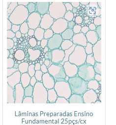 LAMINAS PREPARADAS ENSINO FUNDAMENTAL