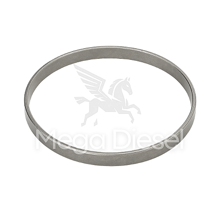 Anel Pista Cubo Traseiro Scania Modelo 110 - 120093