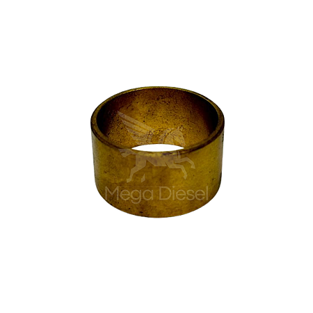 Bucha De Bronze Patim Dianteiro Scania 111/112/113 - 141164