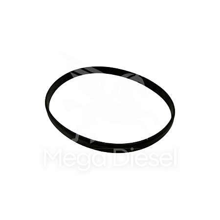 Anel Camisa Motor Scania LK-140/141/142/L-113 ANO 95 EM DIAN - 170951 - 1302828 - 142050