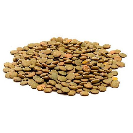 LENTILHA CANADENSE 100G