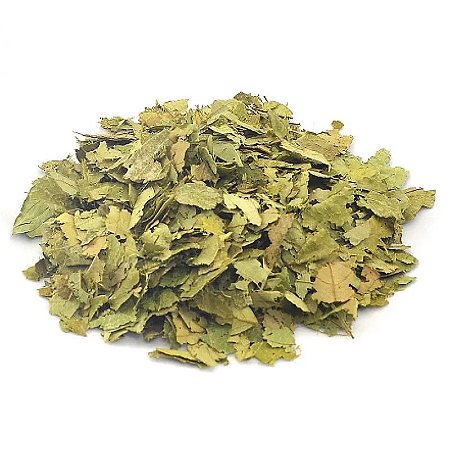 GRAVIOLA FOLHAS 100G