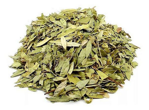 SENE FOLHAS 100G