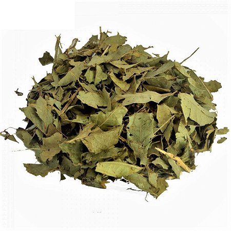 ESPINHEIRA SANTA 100G
