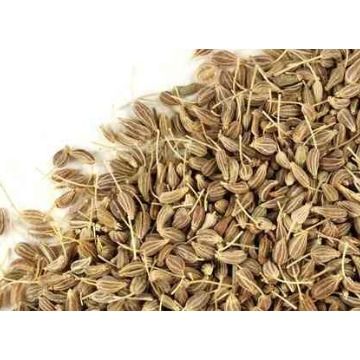 ERVA DOCE 100G