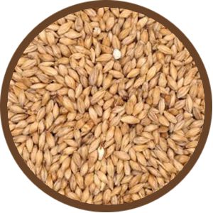 Malte Pilsen Agrária