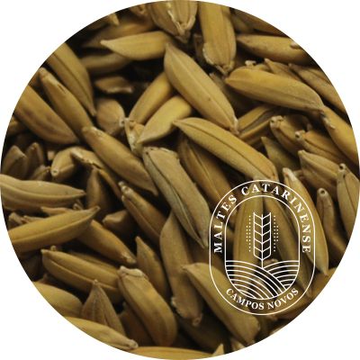 Malte de Arroz - Maltes Catarinense