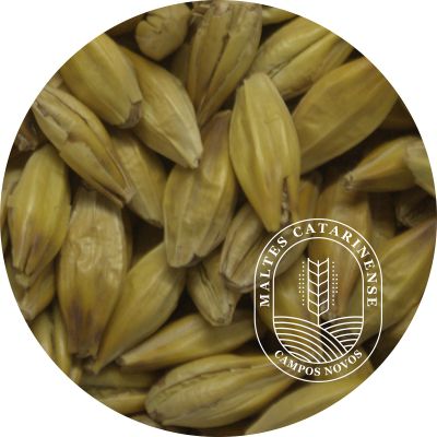Malte Caramelo Claro - Maltes Catarinense