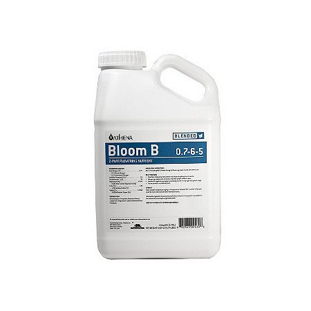 Bloom B