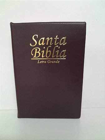 Santa Bíblia Letra Grande SBB, Capa Luxo Vinho Nobre , Borda Rosa Tamanho Médio,  Reina Valera