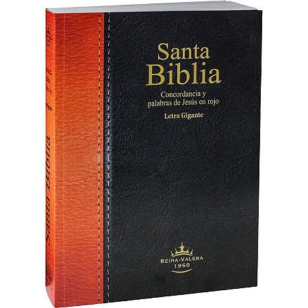 Santa Biblia Con Concordancia Amplia/ Espanhol, SBB, Capa Brochura, Tamanho Grande, Sem Índice - Reina Valerá