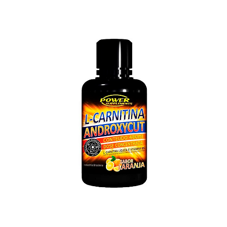 L-CARNITINA POWER SUPLEMENTS - 480ML