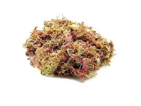 Esfagno musgo - Substrato para Terrários, Suculentas e Orquídeas - 30g