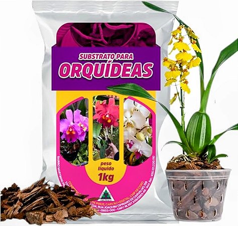 Substrato Premium para Orquídeas 2kg – Crescimento Forte e Flores Exuberantes!