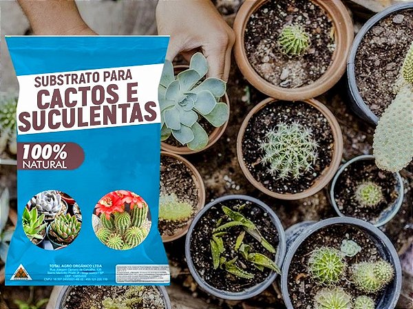 Substrato para Cactos e Suculentas 4kgs – Crescimento Saudável e Drenagem Perfeita!