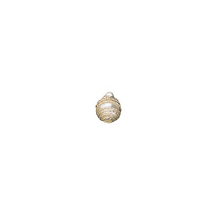 6779 - Pingente Dourado 2,0 cm C/4 UN