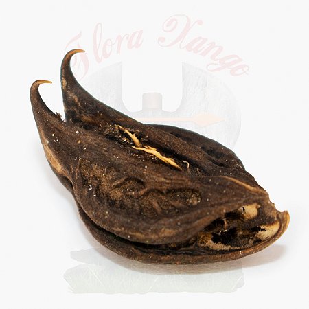GARRA DE POMBA GIRA