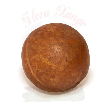 FAVA DE OXAGUIÃ