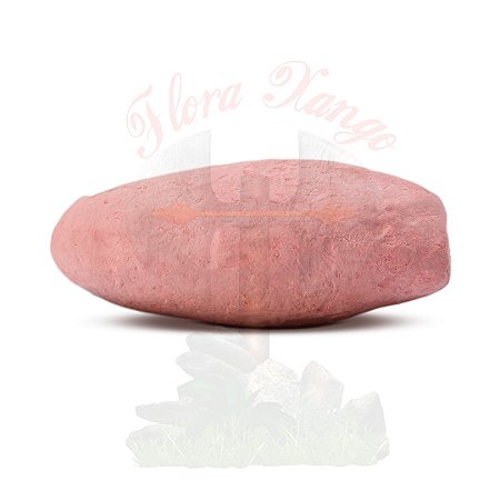 Pemba Rosa