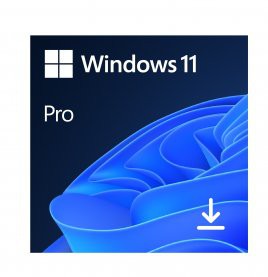 Windows 11 PRO 32/64 ESD Download