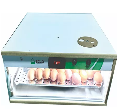 Chocadeira 100 Ovos - Automática