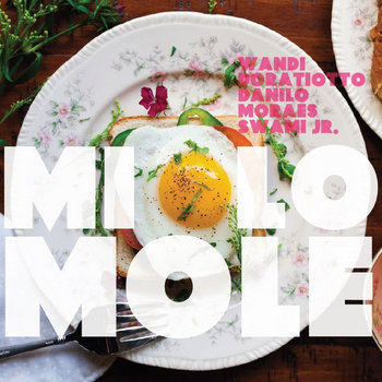 WANDI DORATIOTTO, DANILO MORAES, SWAMI JR - MIOLO MOLE - CD