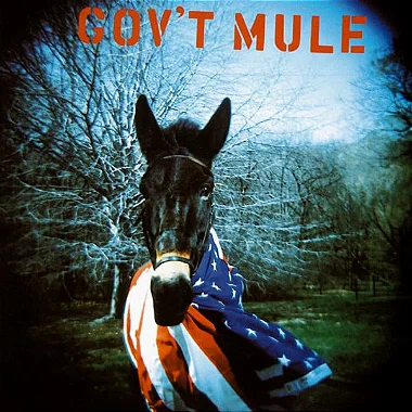 GOV'T MULE - CD
