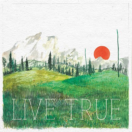 BEEF - LIVE TRUE  - CD