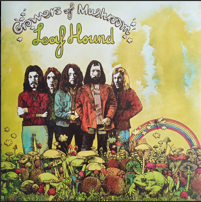 LEAF HOUND - GROWERS OF MUSHROOM - LP