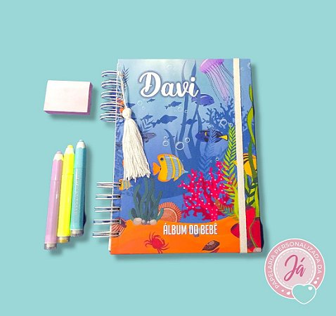 Álbum / Diário do Bebê