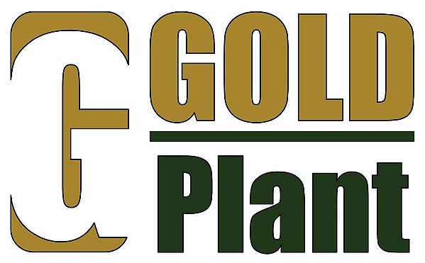 Vaso de Coco (Estaca) N 03