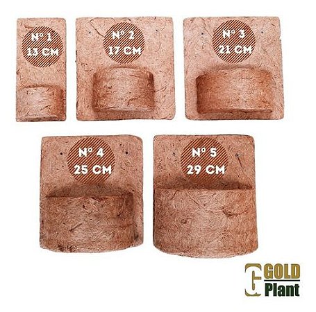 Vaso de Coco (Meio com Placa) N 02