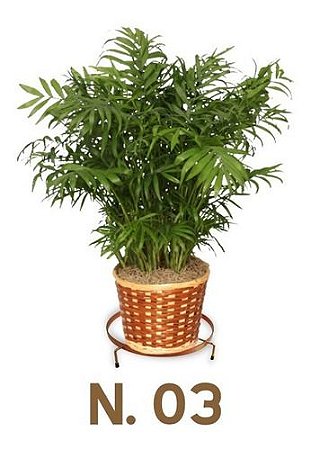 Suporte Rasteiro Para Vasos N 03