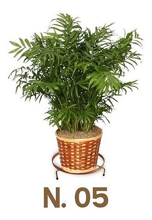 Suporte Rasteiro Para Vasos N 05