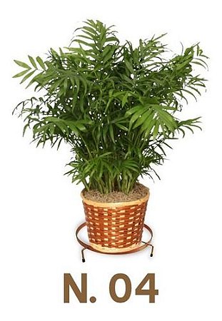 Suporte Rasteiro Para Vasos N 04