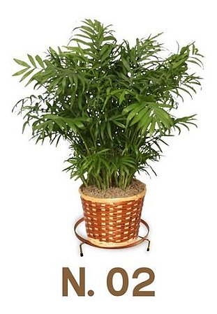 Suporte Rasteiro Para Vasos N 02