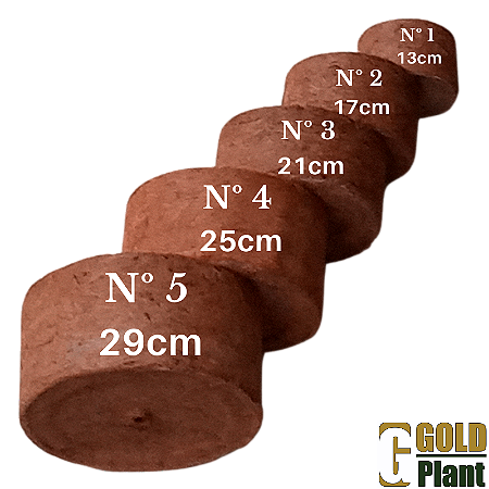 Vaso de Coco (6 unidades) N 04